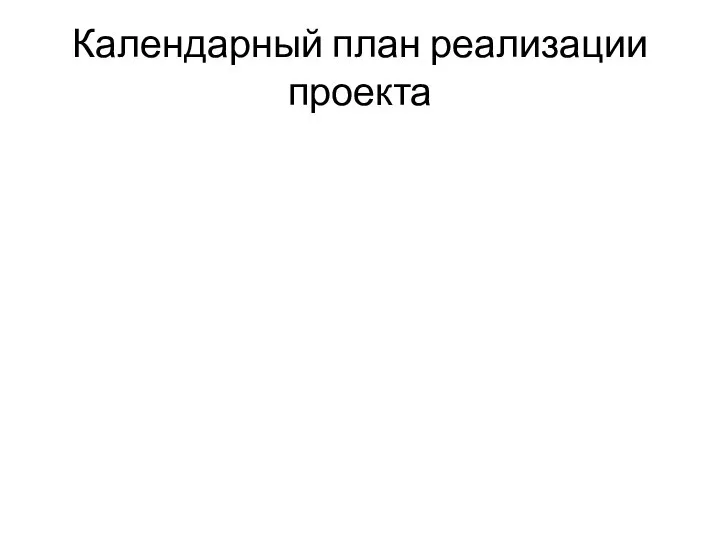 Календарный план реализации проекта