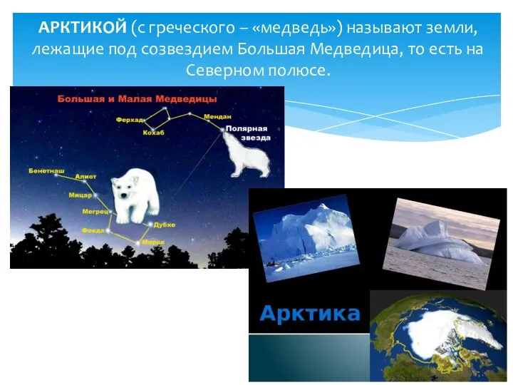 АРКТИКОЙ (с греческого – «медведь») называют земли, лежащие под созвездием Большая Медведица,