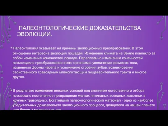 ПАЛЕОНТОЛОГИЧЕСКИЕ ДОКАЗАТЕЛЬСТВА ЭВОЛЮЦИИ. Палеонтология указывает на причины эволюционных преобразований. В этом отношении