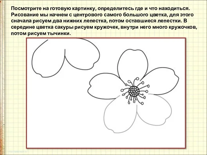 Посмотрите на готовую картинку, определитесь где и что находиться. Рисование мы начнем