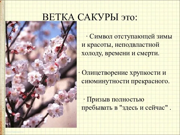 ВЕТКА САКУРЫ это: ∙ Символ отступающей зимы и красоты, неподвластной холоду, времени