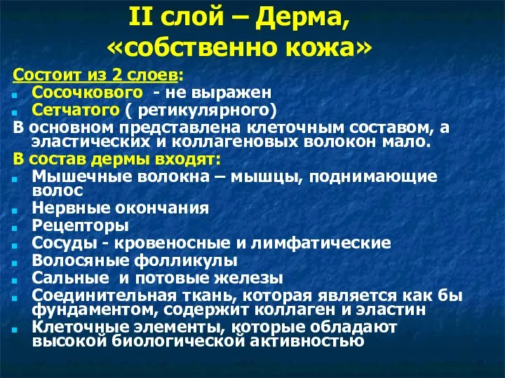 II слой – Дерма, «собственно кожа» Состоит из 2 слоев: Сосочкового -