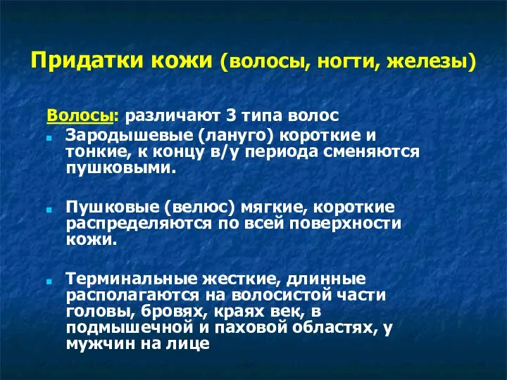 Придатки кожи (волосы, ногти, железы) Волосы: различают 3 типа волос Зародышевые (лануго)