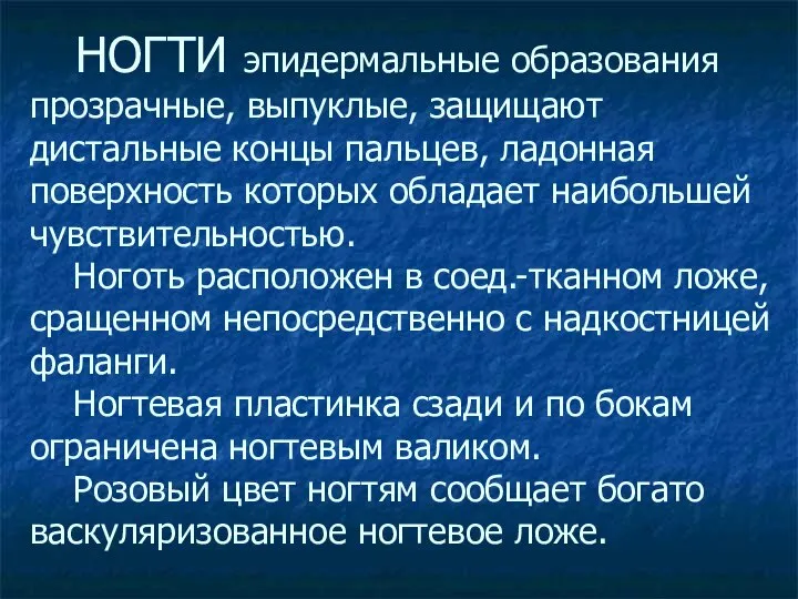 НОГТИ эпидермальные образования прозрачные, выпуклые, защищают дистальные концы пальцев, ладонная поверхность которых