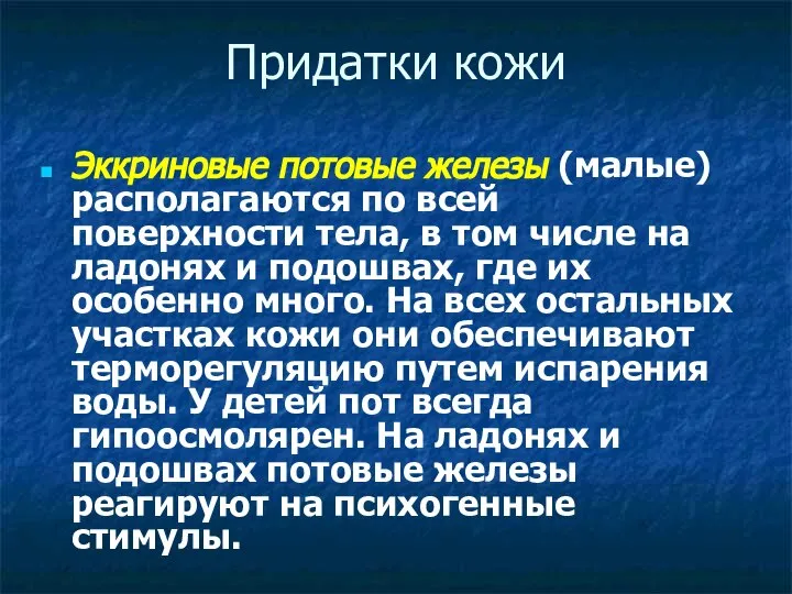 Придатки кожи Эккриновые потовые железы (малые) располагаются по всей поверхности тела, в