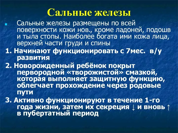 Сальные железы Сальные железы размещены по всей поверхности кожи нов., кроме ладоней,