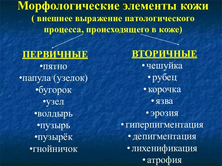 Морфологические элементы кожи ( внешнее выражение патологического процесса, происходящего в коже) ПЕРВИЧНЫЕ