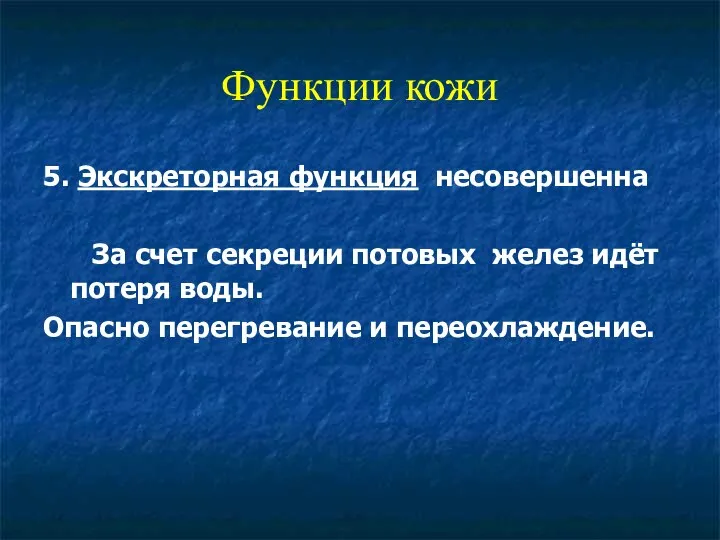 Функции кожи 5. Экскреторная функция несовершенна За счет секреции потовых желез идёт