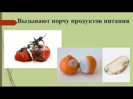 Вызывают порчу продуктов питания