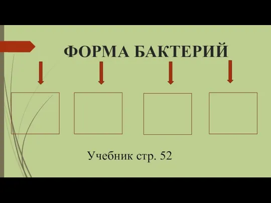 ФОРМА БАКТЕРИЙ Учебник стр. 52