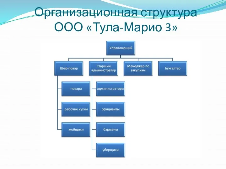 Организационная структура ООО «Тула-Марио 3»