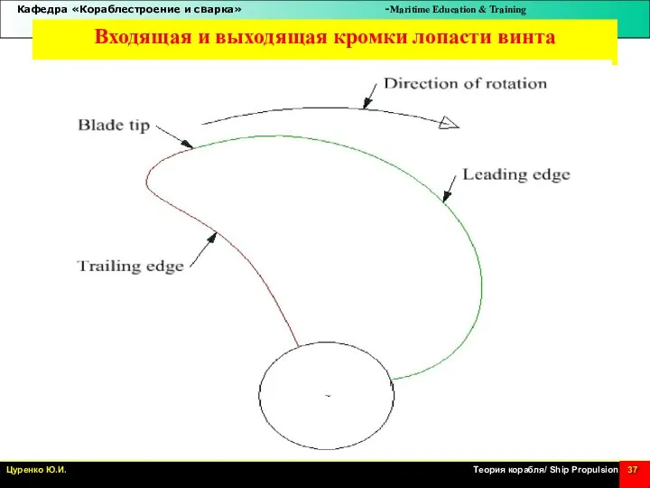 Входящая и выходящая кромки лопасти винта