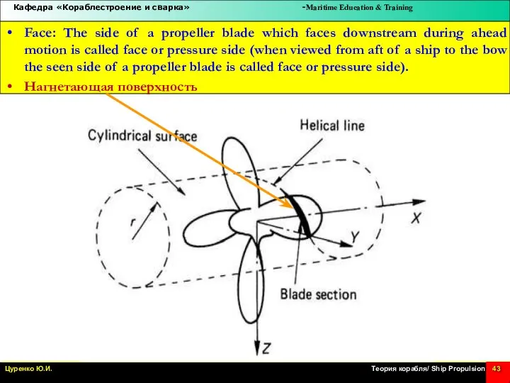 Face: The side of a propeller blade which faces downstream during ahead