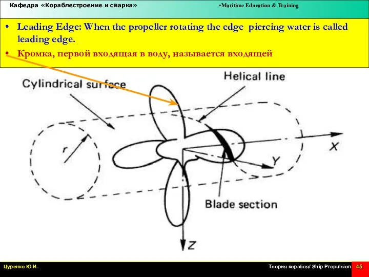 Leading Edge: When the propeller rotating the edge piercing water is called