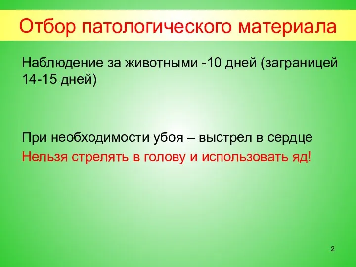 Отбор патологического материала Наблюдение за животными -10 дней (заграницей 14-15 дней) При