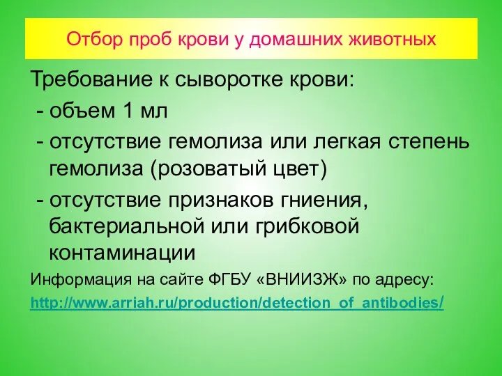 Отбор проб крови у домашних животных Требование к сыворотке крови: - объем