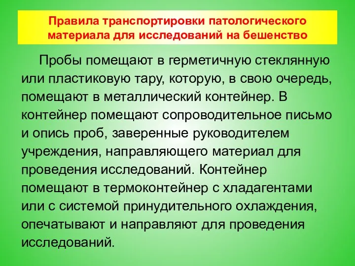 Правила транспортировки патологического материала для исследований на бешенство Пробы помещают в герметичную