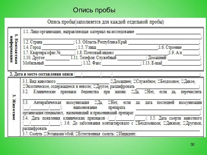 Опись пробы