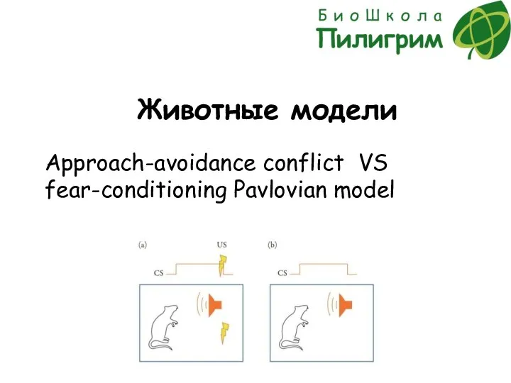 Животные модели Approach-avoidance conflict VS fear-conditioning Pavlovian model