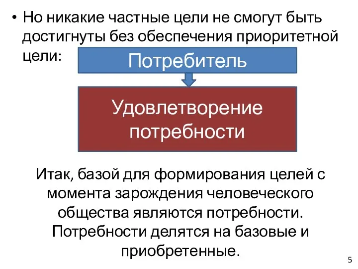 Но никакие частные цели не смогут быть достигнуты без обеспечения приоритетной цели: