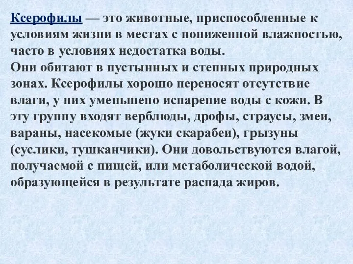 Ксерофилы — это животные, приспособленные к условиям жизни в местах с пониженной