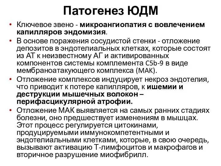 Патогенез ЮДМ Ключевое звено - микроангиопатия с вовлечением капилляров эндомизия. В основе