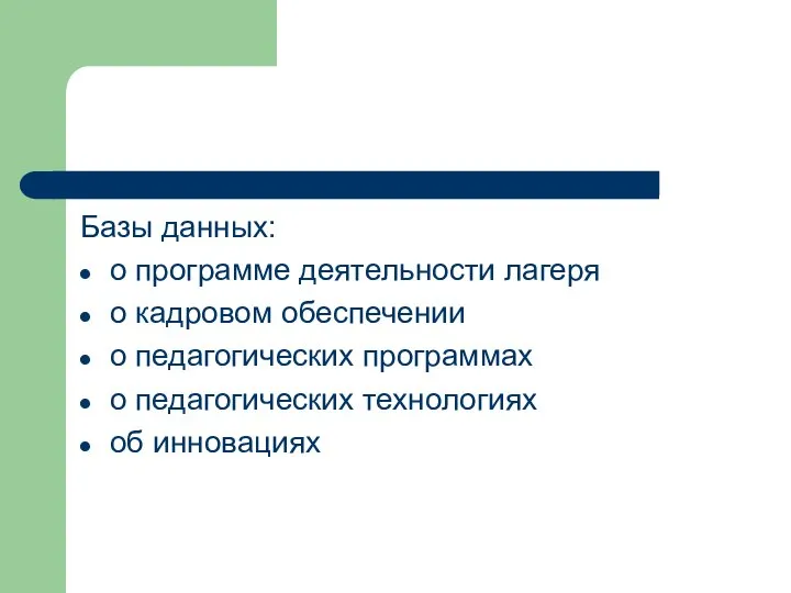 Базы данных: о программе деятельности лагеря о кадровом обеспечении о педагогических программах