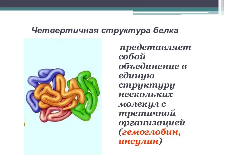 Четвертичная структура белка представляет собой объединение в единую структуру нескольких молекул с третичной организацией (гемоглобин, инсулин)