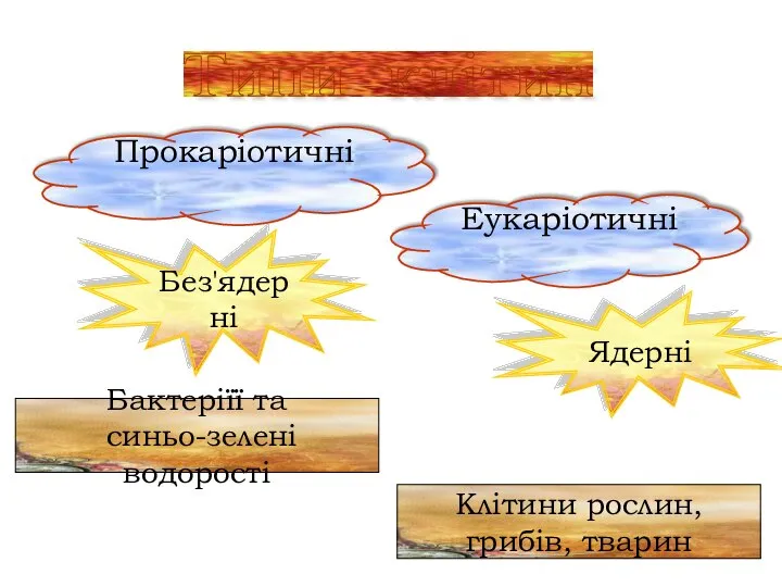 Типи клітин Прокаріотичні Еукаріотичні Бактеріїї та синьо-зелені водорості Клітини рослин, грибів, тварин Без'ядерні Ядерні