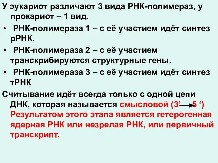 У эукариот различают 3 вида РНК-полимераз, у прокариот – 1 вид. РНК-полимераза