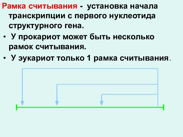 Рамка считывания - установка начала транскрипции с первого нуклеотида структурного гена. У