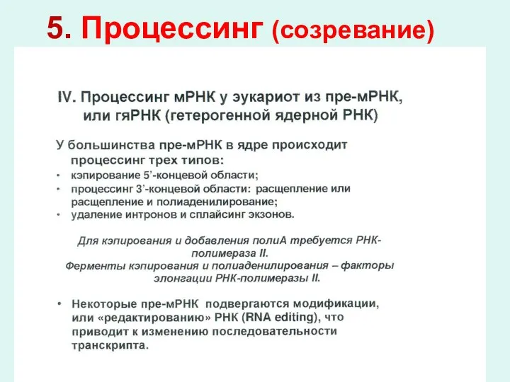 5. Процессинг (созревание)