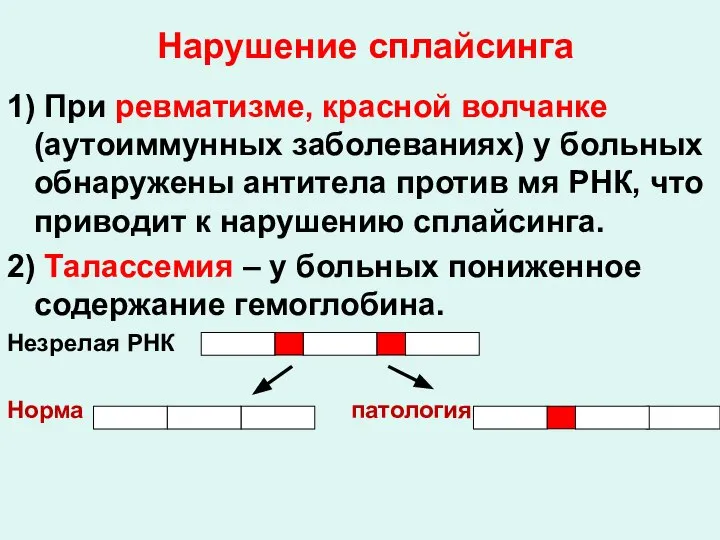 Нарушение сплайсинга 1) При ревматизме, красной волчанке (аутоиммунных заболеваниях) у больных обнаружены