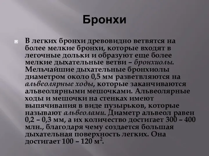 Бронхи В легких бронхи древовидно ветвятся на более мелкие бронхи, которые входят