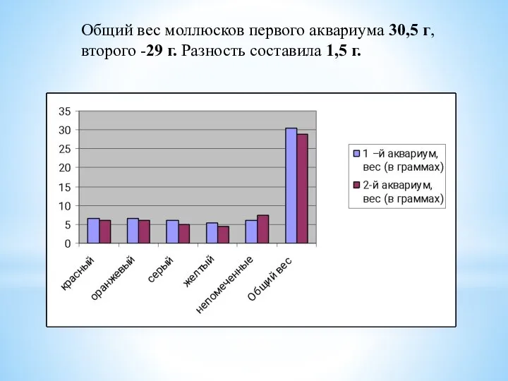 Общий вес моллюсков первого аквариума 30,5 г, второго -29 г. Разность составила 1,5 г.