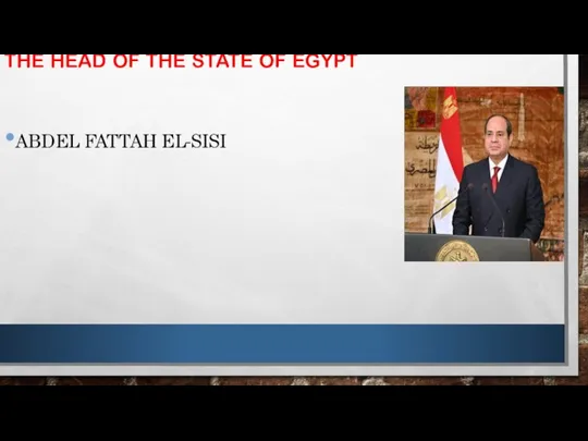 THE HEAD OF THE STATE OF EGYPT ABDEL FATTAH EL-SISI