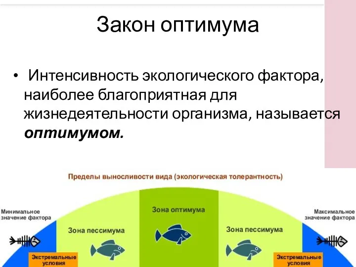 Интенсивность экологического фактора, наиболее благоприятная для жизнедеятельности организма, называется оптимумом. Закон оптимума