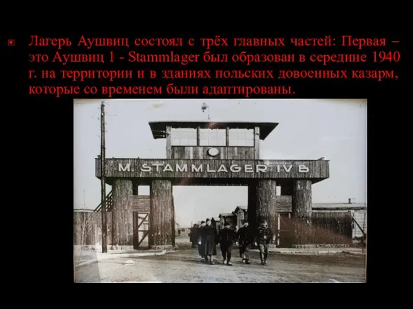 Лагерь Аушвиц состоял с трёх главных частей: Первая – это Аушвиц 1