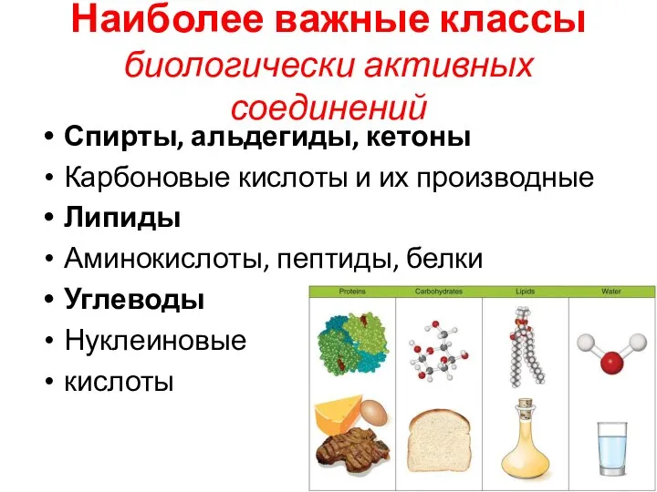 Наиболее важные классы биологически активных соединений Спирты, альдегиды, кетоны Карбоновые кислоты и