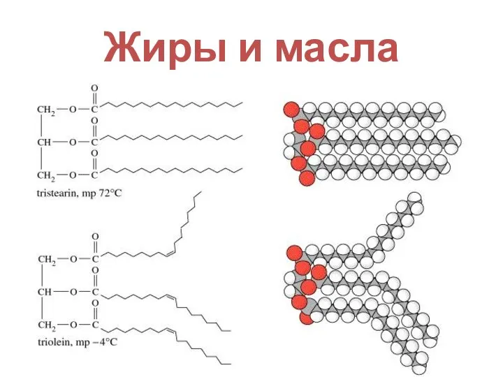 Жиры и масла