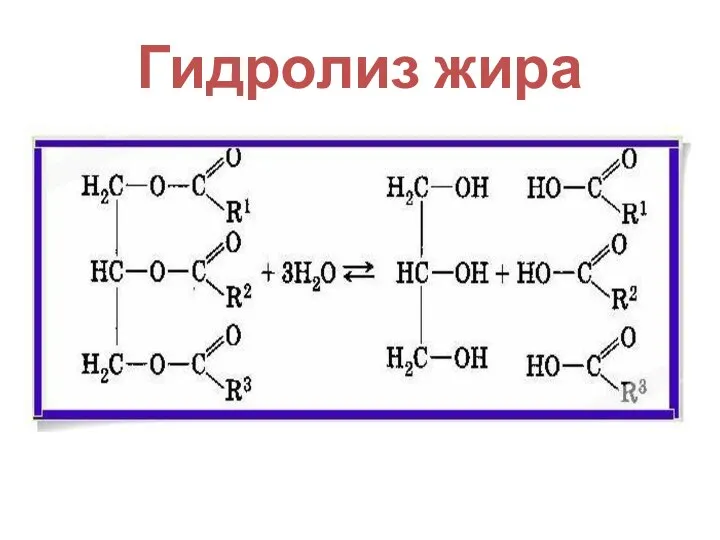 Гидролиз жира