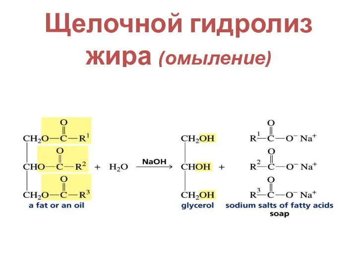 Щелочной гидролиз жира (омыление)