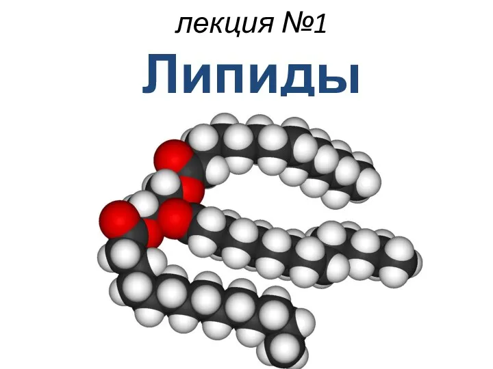 лекция №1 Липиды