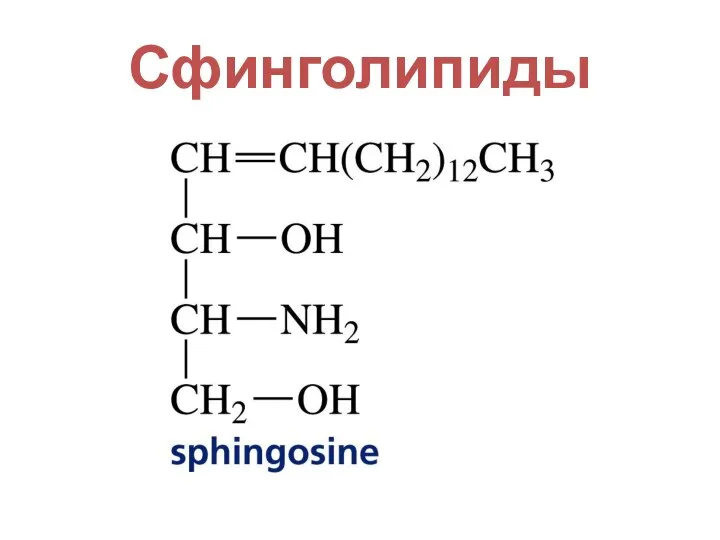 Сфинголипиды