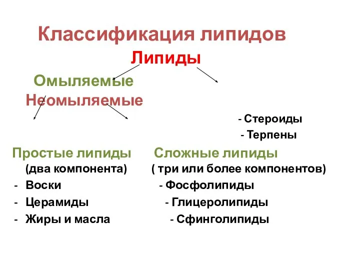 Классификация липидов Липиды Омыляемые Неомыляемые - Стероиды - Терпены Простые липиды Сложные