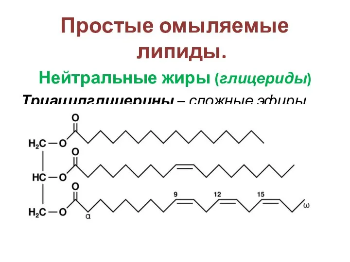 Простые омыляемые липиды. Нейтральные жиры (глицериды) Триацилглицерины – сложные эфиры глицерина и высших карбоновых кислот.