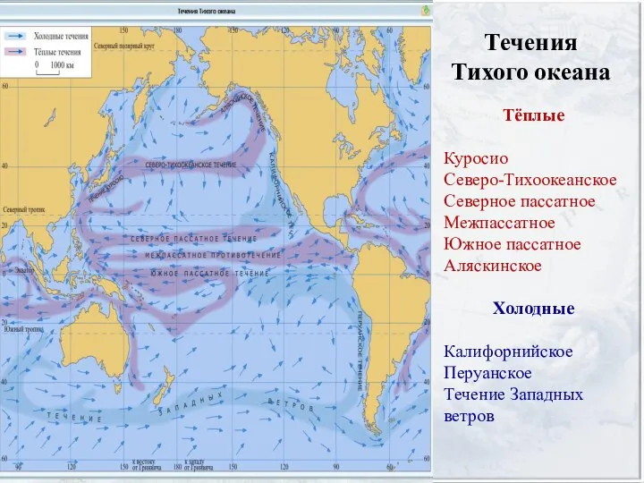 Течения Тихого океана Тёплые Куросио Северо-Тихоокеанское Северное пассатное Межпассатное Южное пассатное Аляскинское