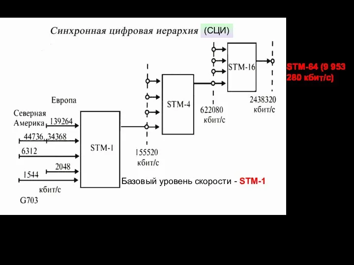 STM-64 (9 953 280 кбит/с) (СЦИ) Базовый уровень скорости - STM-1
