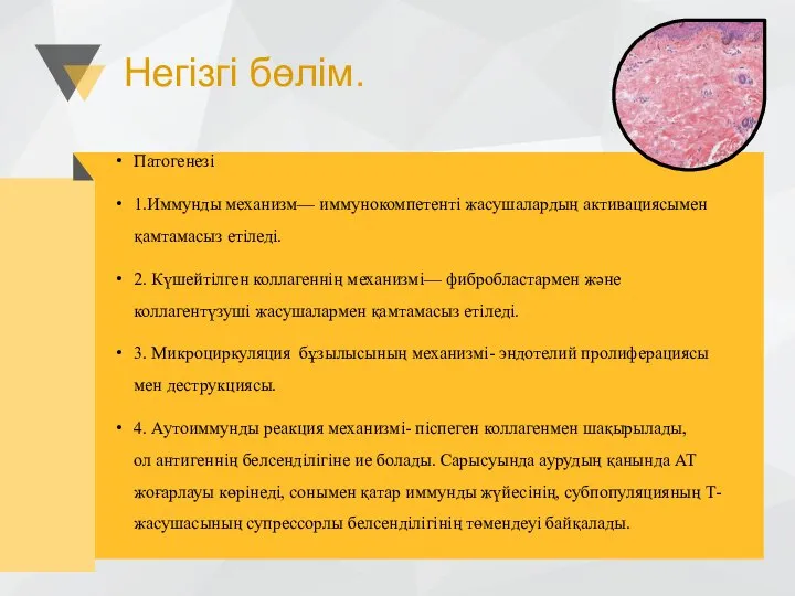 Негізгі бөлім. Патогенезі 1.Иммунды механизм— иммунокомпетенті жасушалардың активациясымен қамтамасыз етіледі. 2. Күшейтiлген