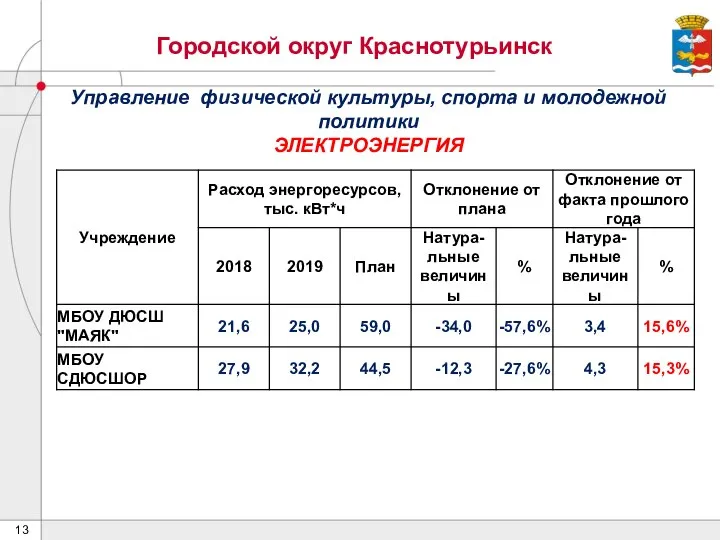 Городской округ Краснотурьинск Управление физической культуры, спорта и молодежной политики ЭЛЕКТРОЭНЕРГИЯ